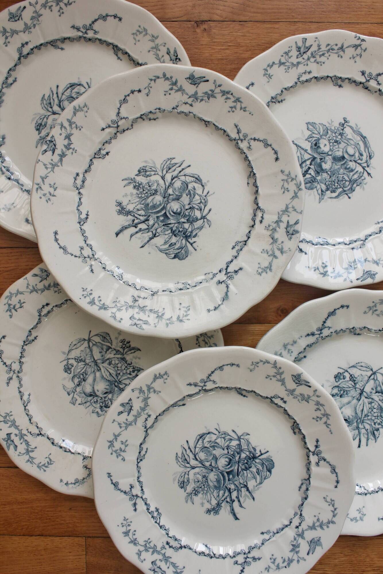 6 flat plates in iron earth Pompadour earthenware factory of Clairefontaine