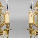 Pair of Gilded Bronze Wall Lights, Directoire Style, Two Lights