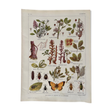Lithograph on alfalfa from 1921