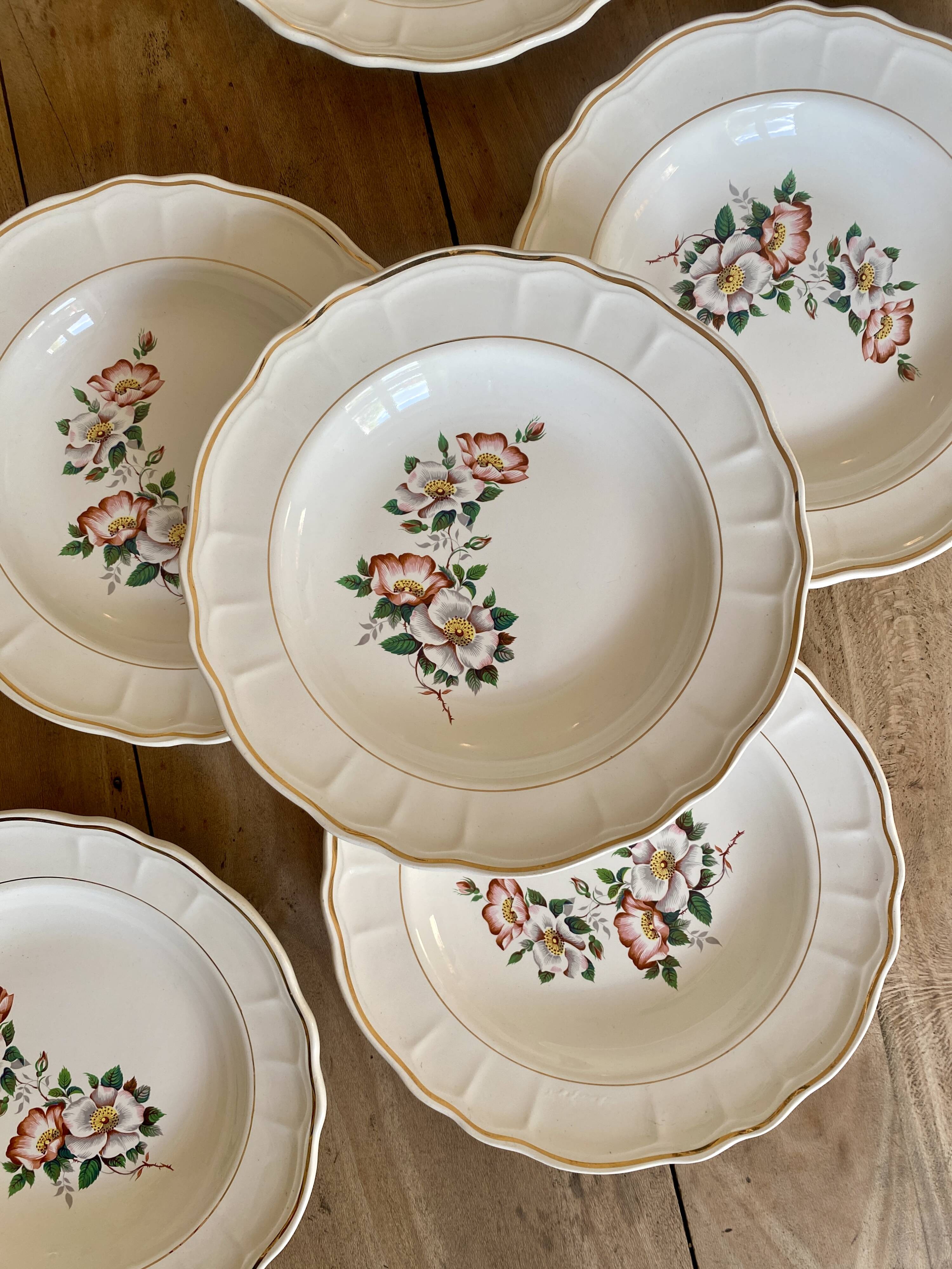 Set of 6 vintage Salins soup plates