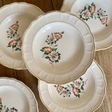 Set of 6 vintage Salins soup plates