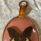 Naturalized butterfly curved glass frame