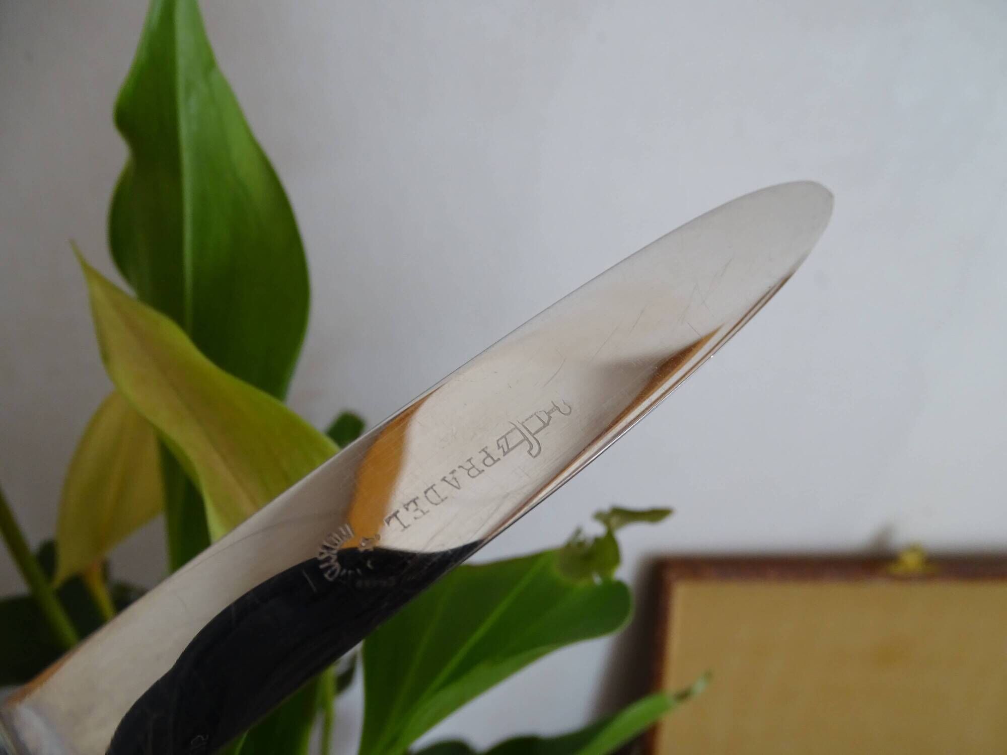 12 vintage Pradel cheese knives horn and stainless steel handles in case