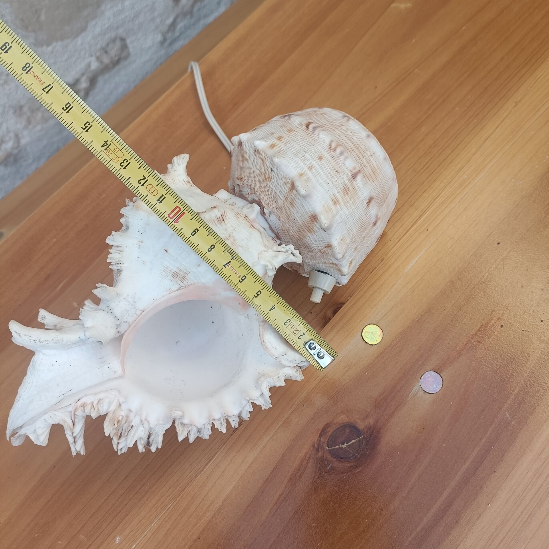 Shell lamp 60's