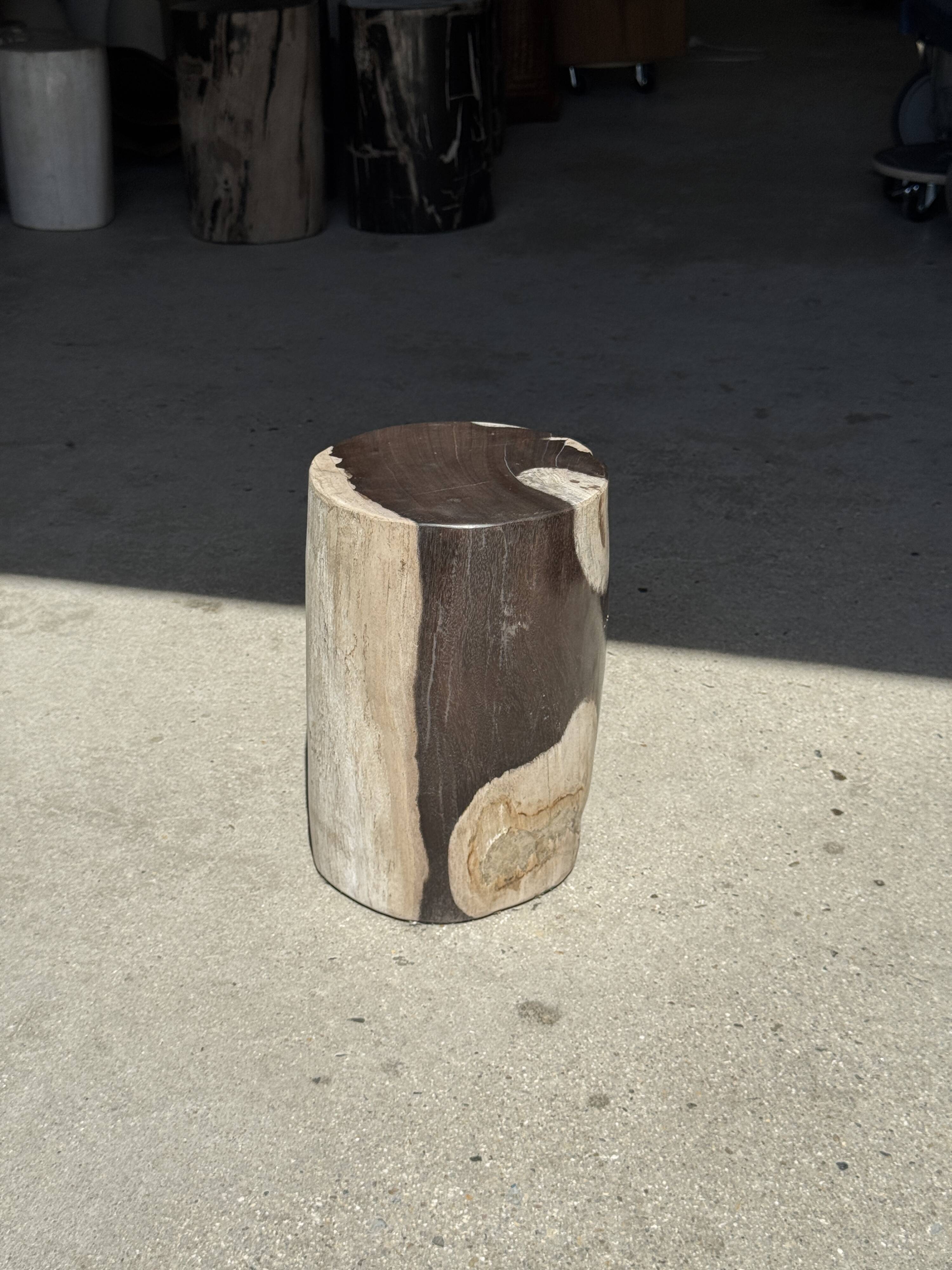 Small side table in black and white petrified wood H28 D18