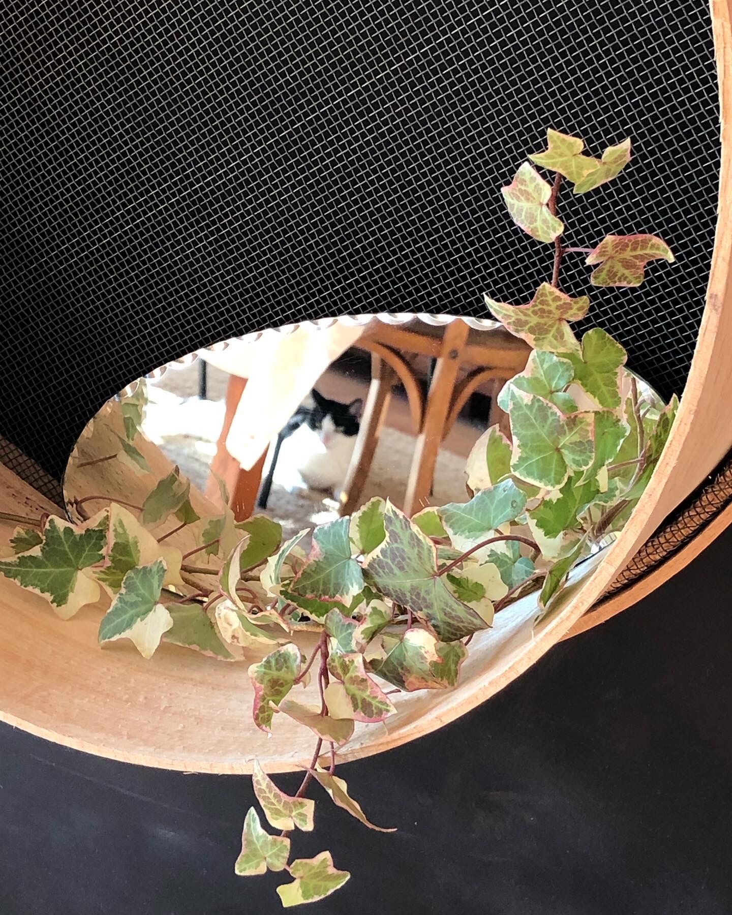 Bevelled oval mirror 25x10cm