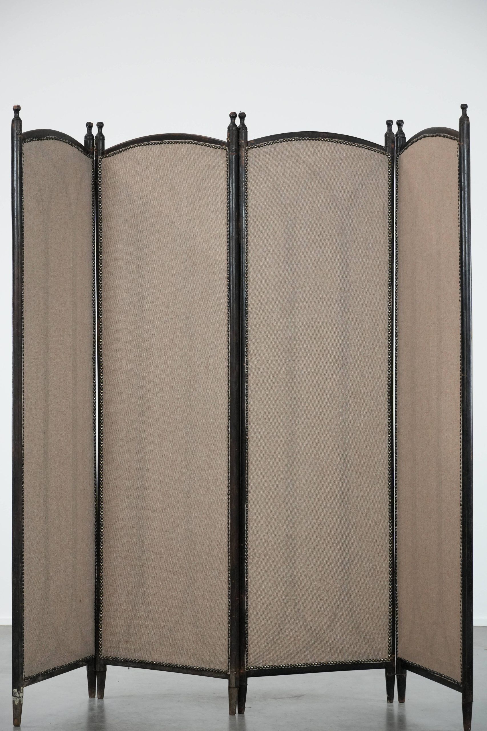 Antique restored bentwood Art Nouveau room divider from the 19th century