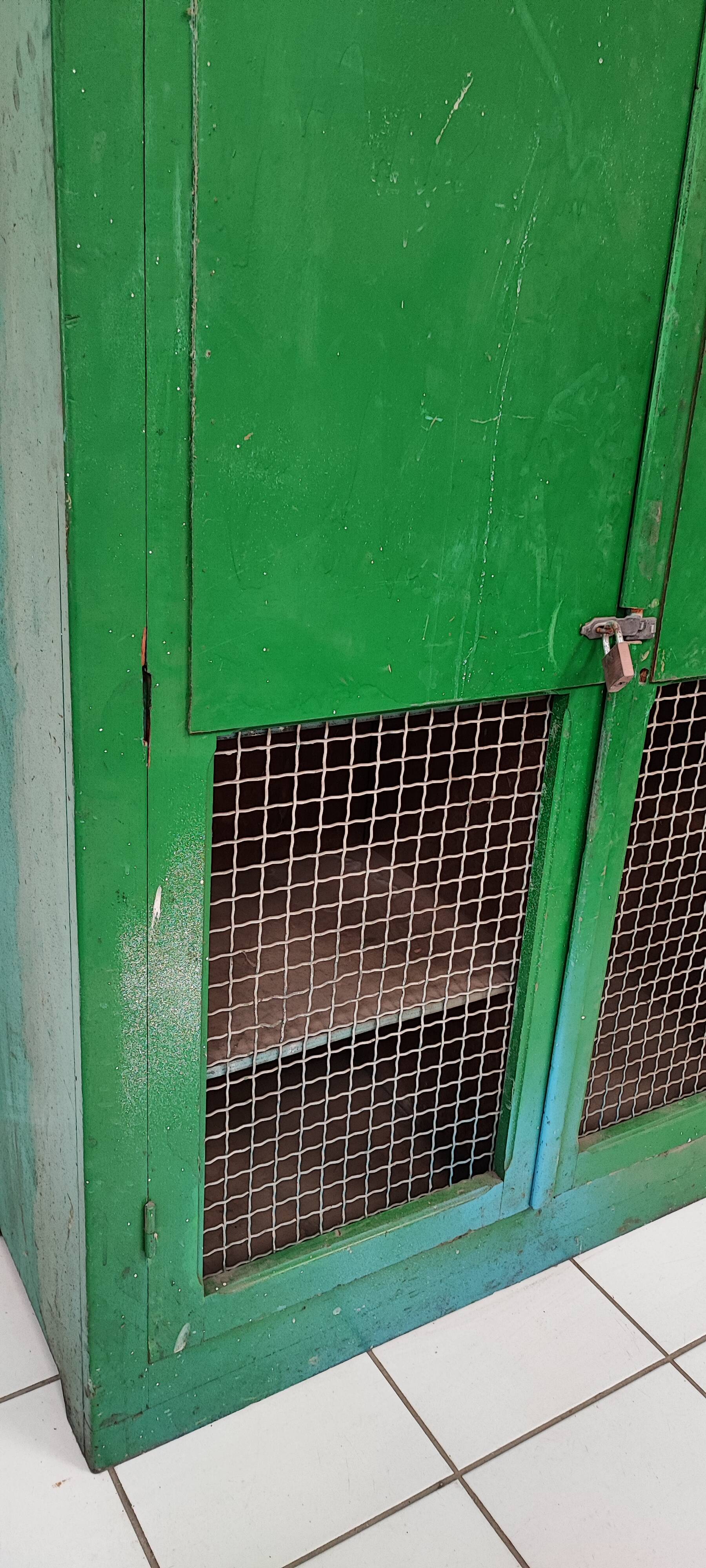Wood workshop cabinet and mesh doors
