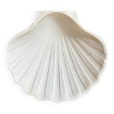 Ramequin coquillage en faïence blanche