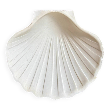 Ramequin coquillage en faïence blanche
