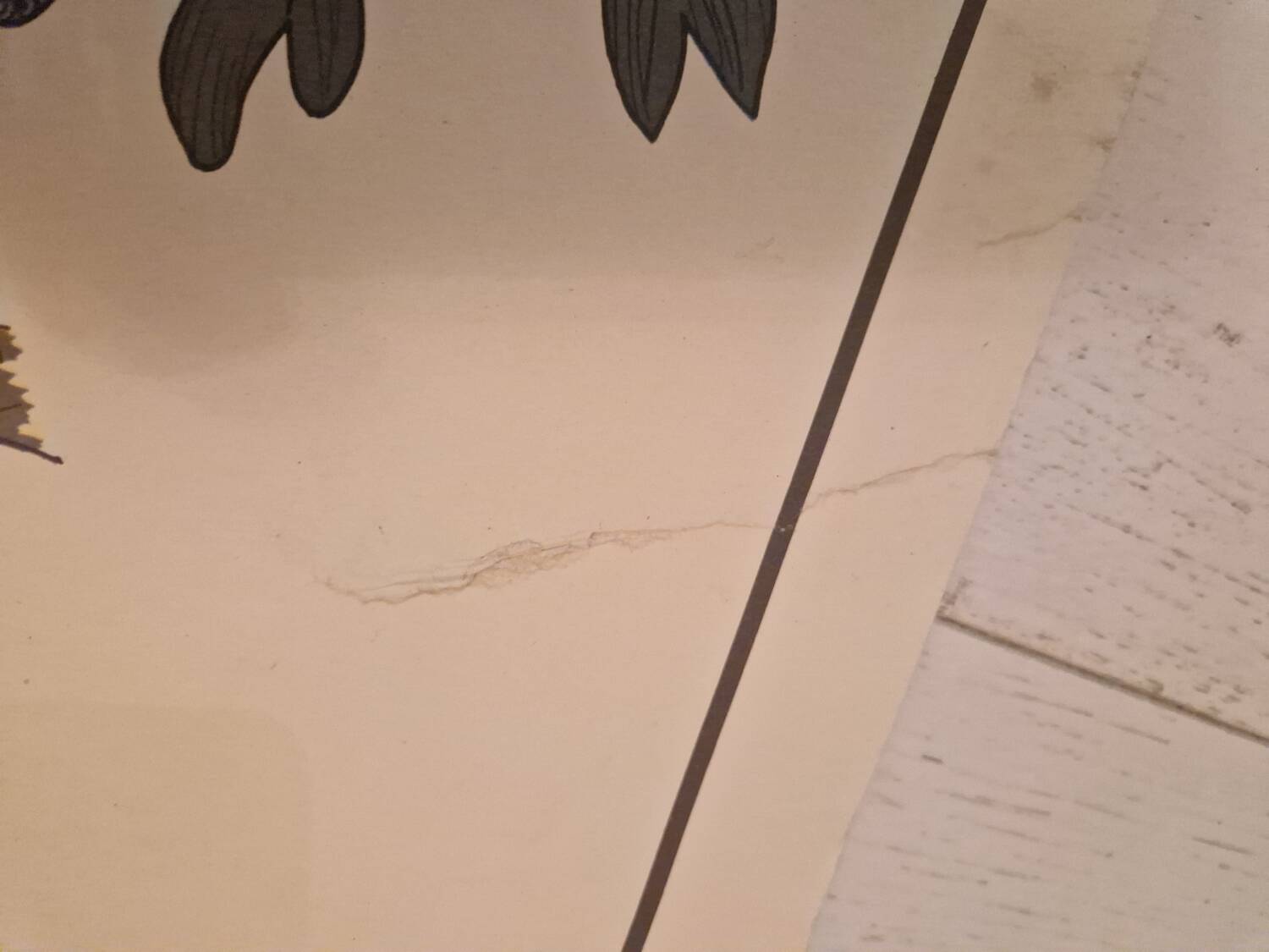 Old school poster Rossignol vintage 50s botanical plants without flowers