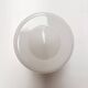 Opal glass Gispen ceiling lamp by GISO, 1960s