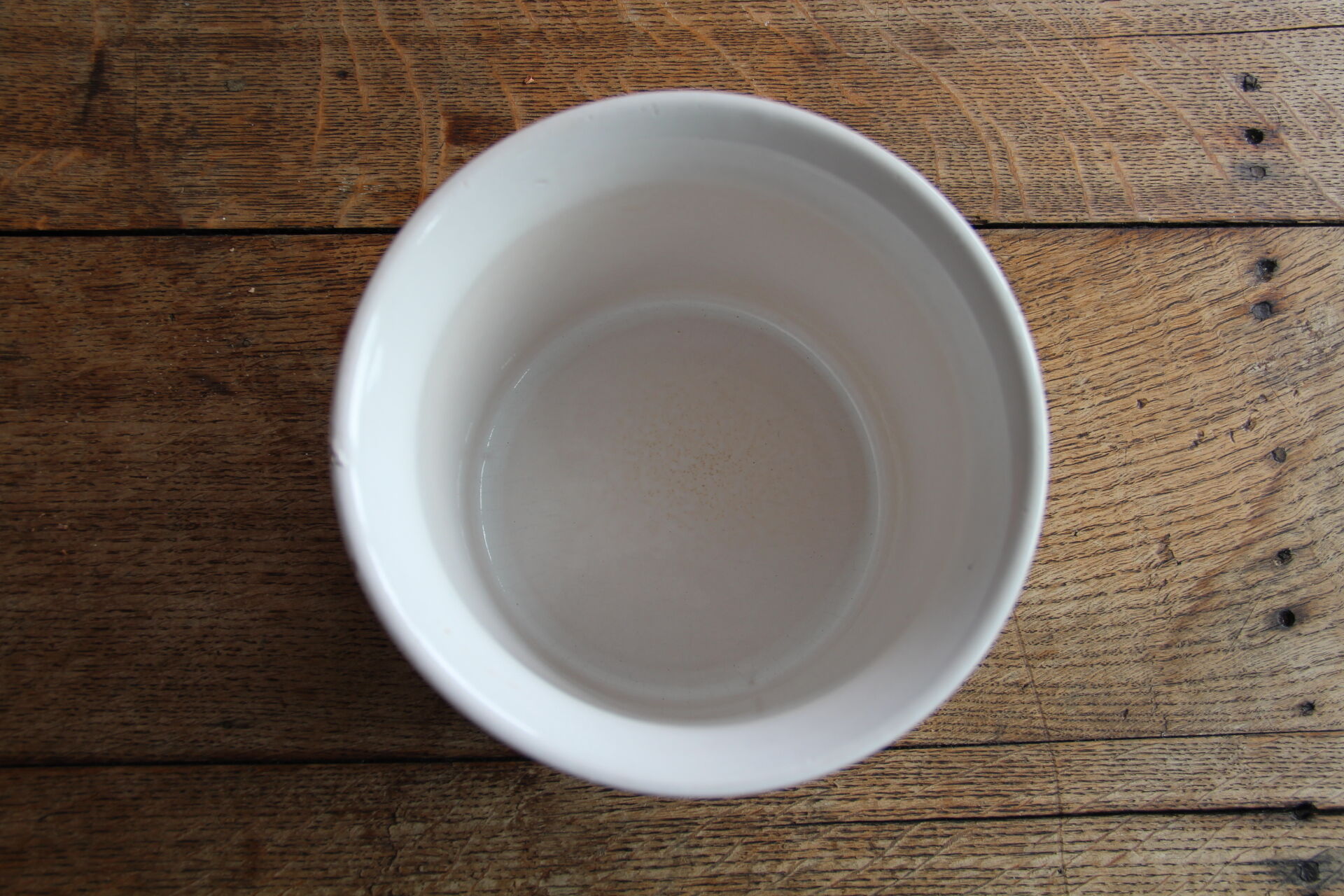 Plant illustration pot