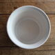 Plant illustration pot