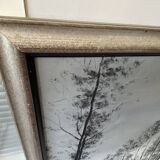 Framed Oil Painting on Canvas by Artist Painter C. M. Ollivierre