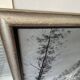 Framed Oil Painting on Canvas by Artist Painter C. M. Ollivierre