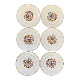 Series of 6 dessert plates