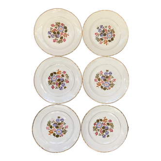 Series of 6 dessert plates