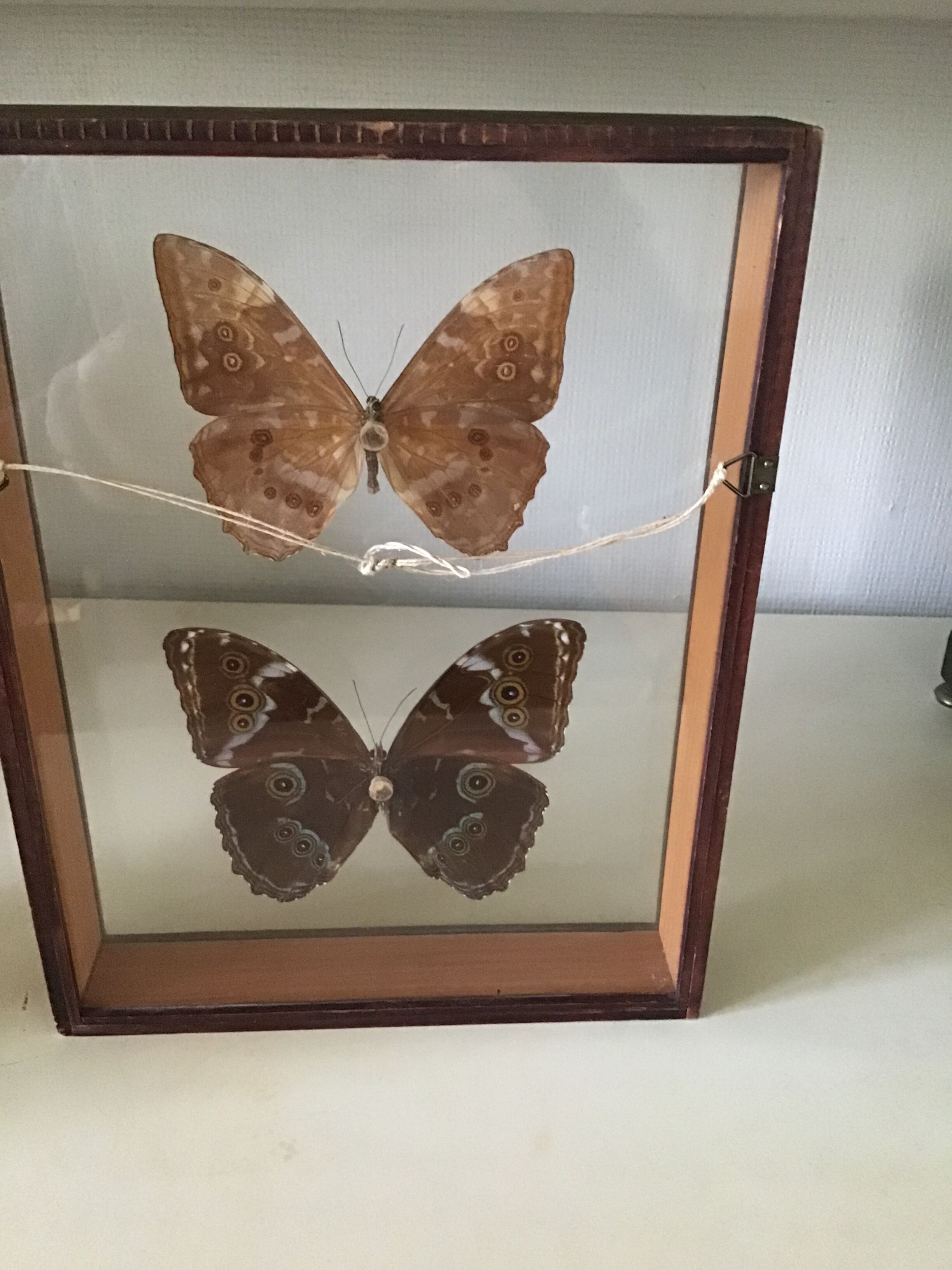 Wooden frame with 2 butterflies
