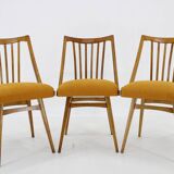 1960s Antonin Suman Oak Chair, Set of Three