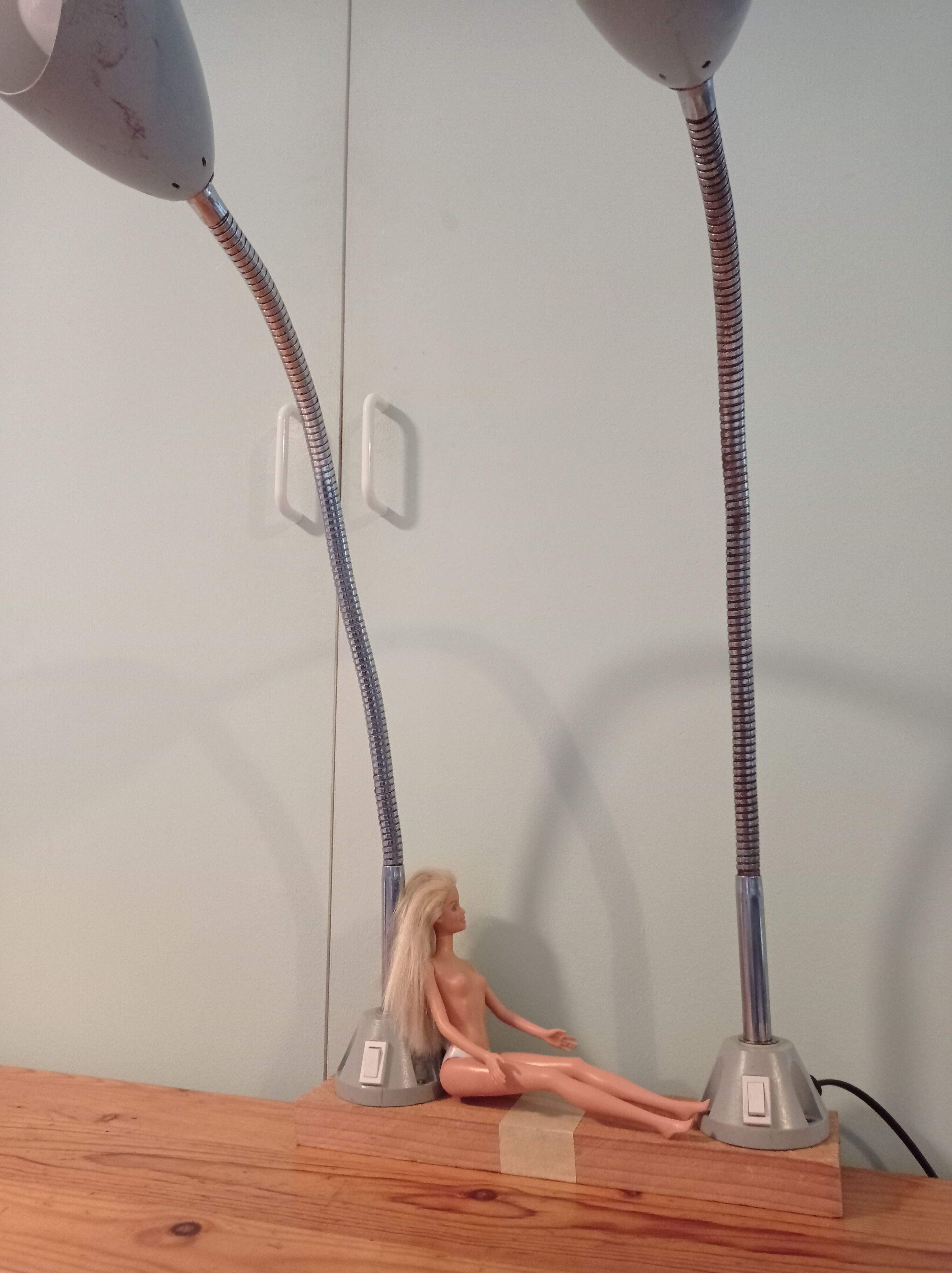 Pair of flexible industrial lamps