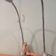 Paire de lampes industrielles flexibles