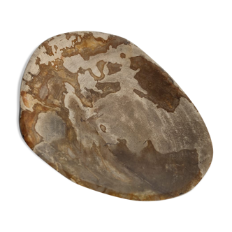 Small empty pocket or flat petrified wood