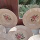12 Digoin soup plates