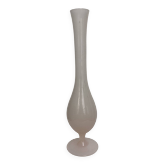 Long vase rose