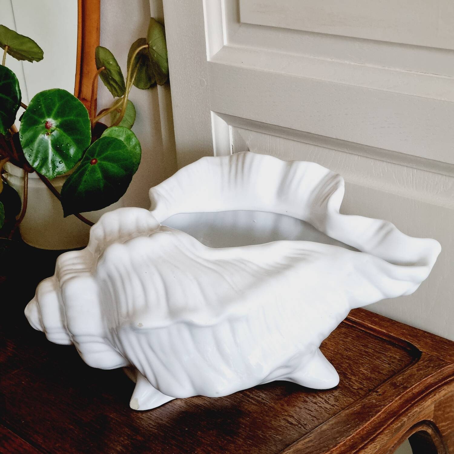 White slip shell pot cover
