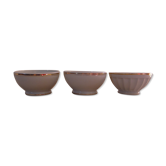 3 porcelain bowls of berry