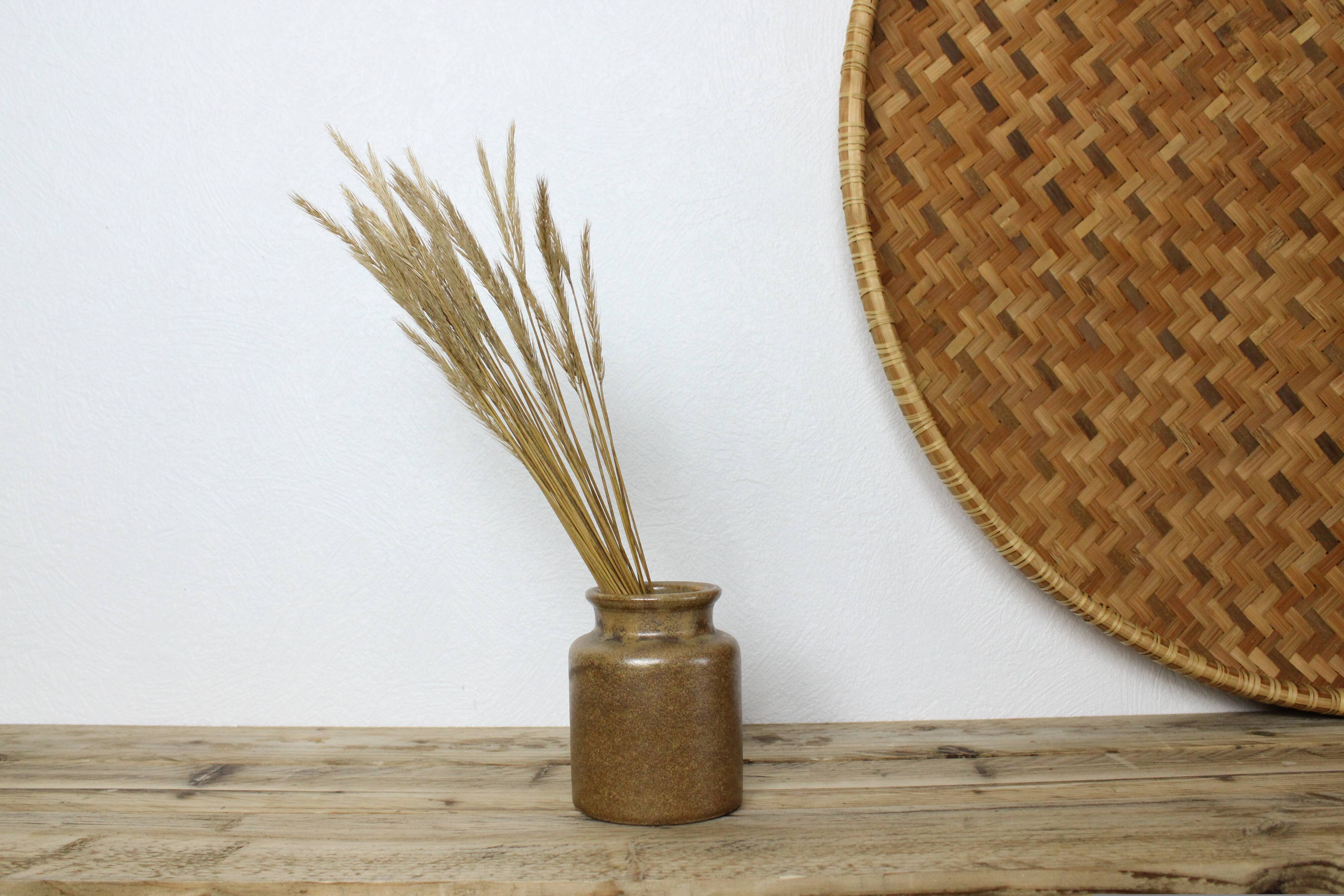 Caramel stoneware pot