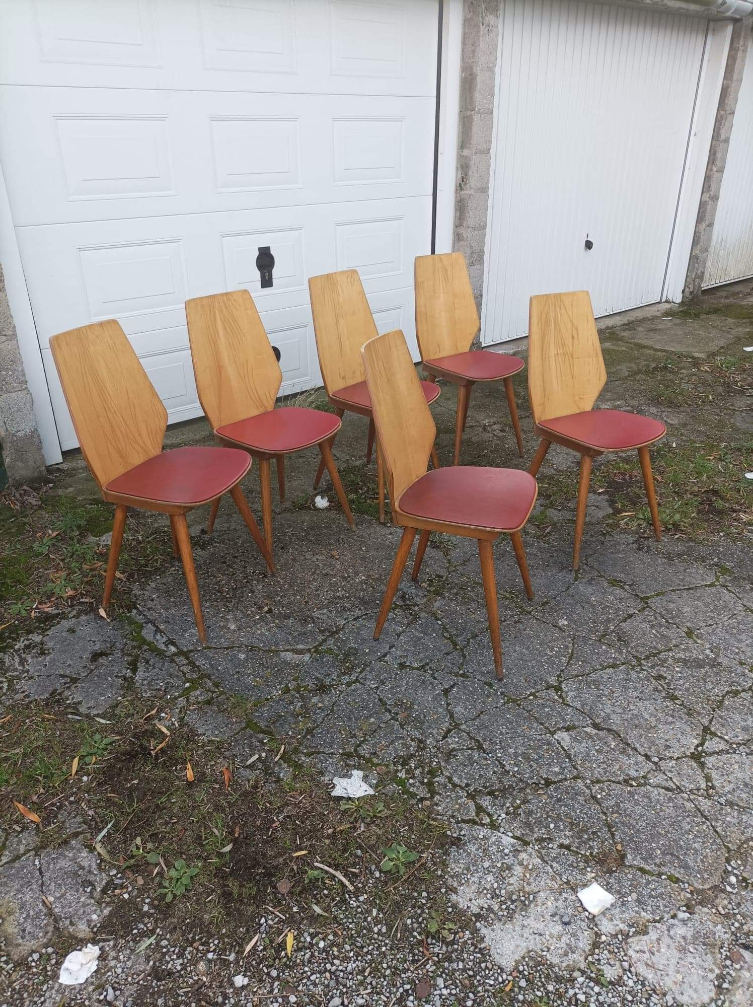 6 vintage Baumann chairs by Max Bill 50s