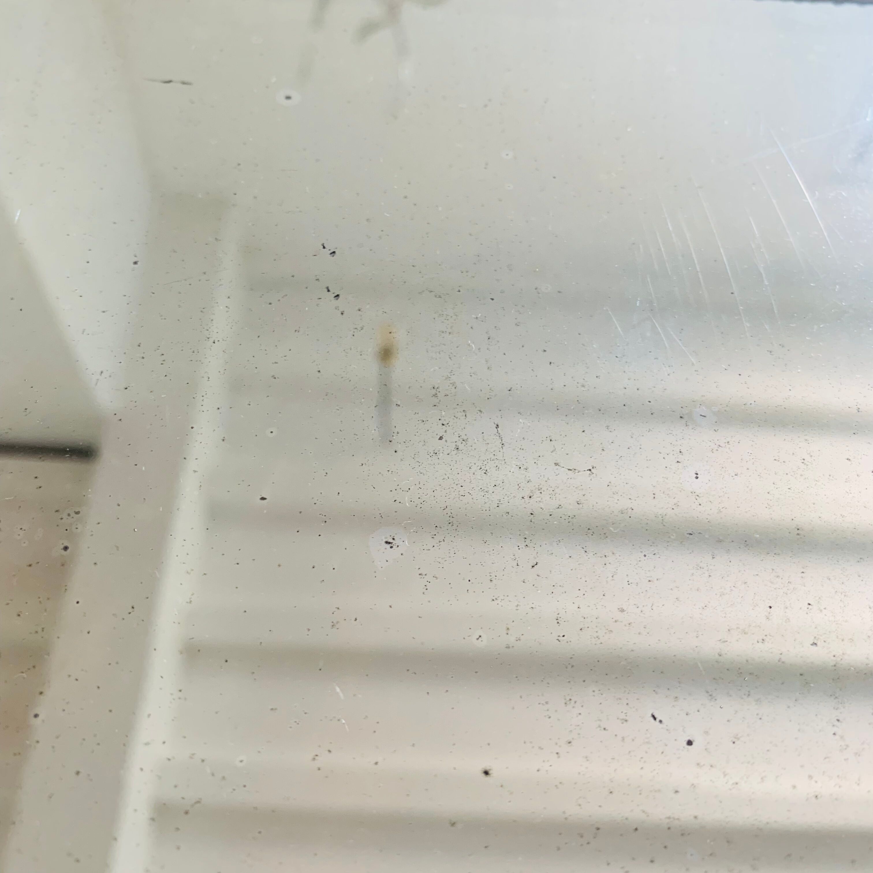 Ancien miroir 64x49cm