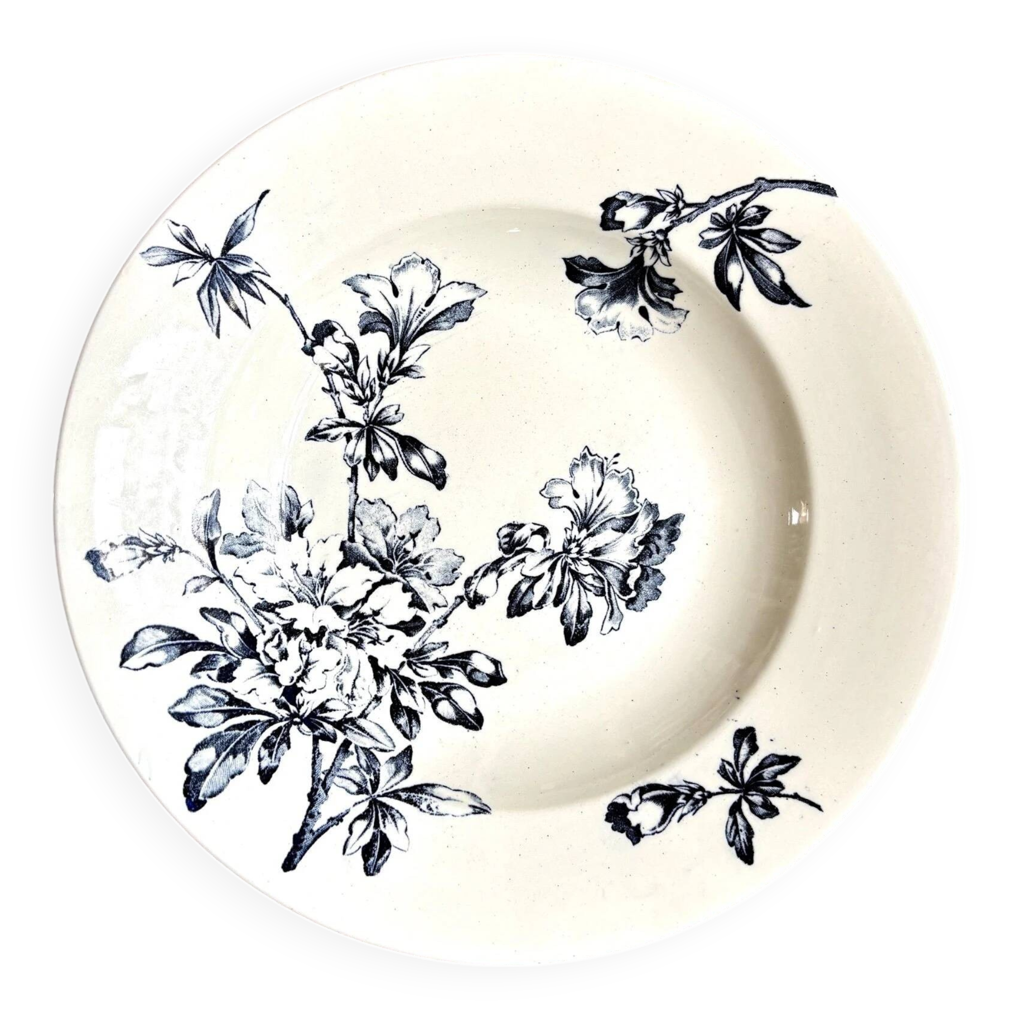 Shallow dish Lunéville in blue ironstone, service "Azalea"