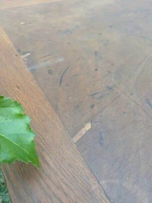 Bureau adulte administratif