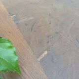 Administrative adult desk