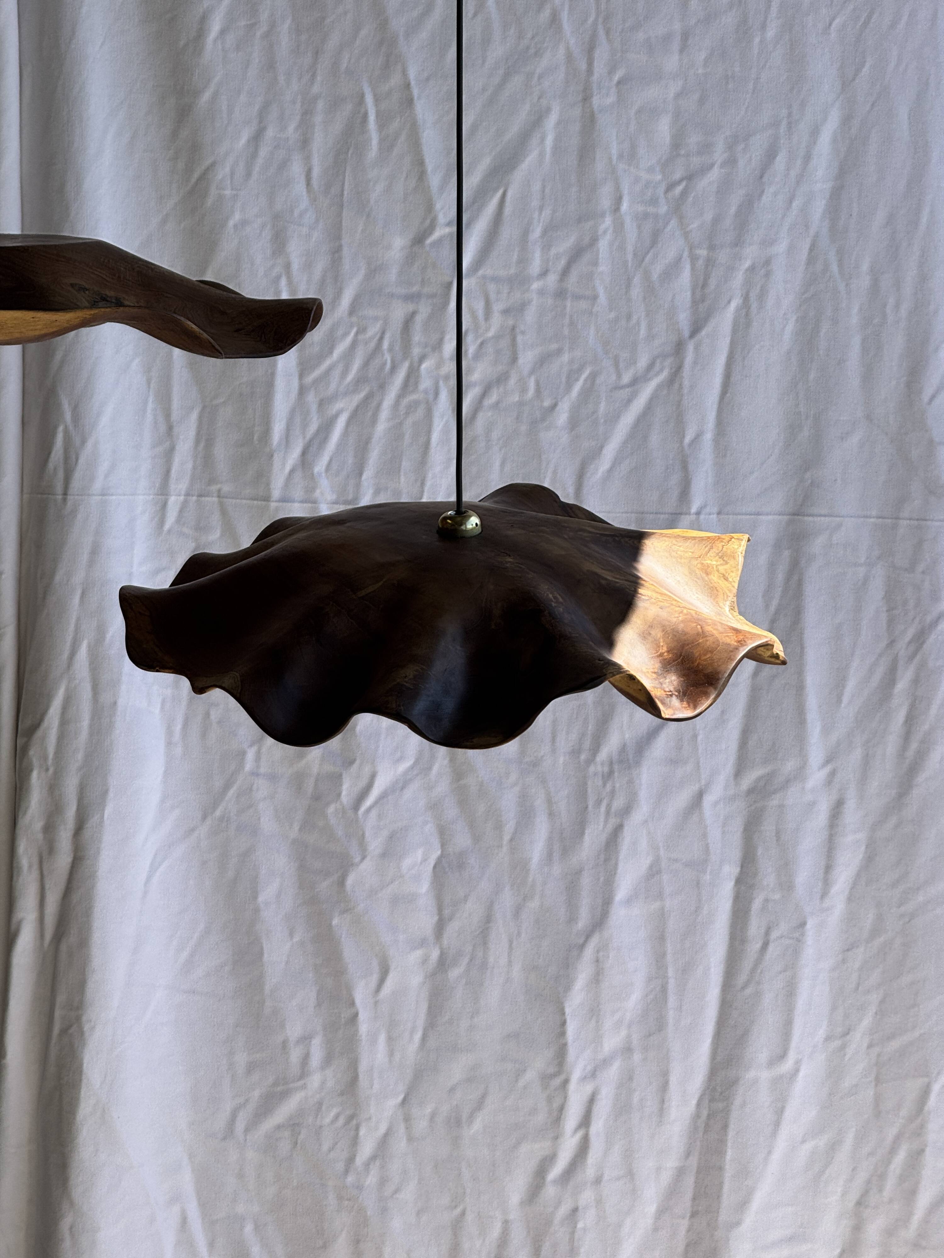 Very large wavy flat leaf suspension in smooth teak D:60