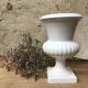 Vase Médicis blanc