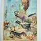 Old engraving 1928, Oceanography, marine fauna and flora • Lithograph, Original plate