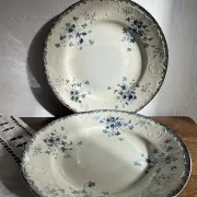 Round ironstone dishes E. Bourgeois Large deposit decorated with violets