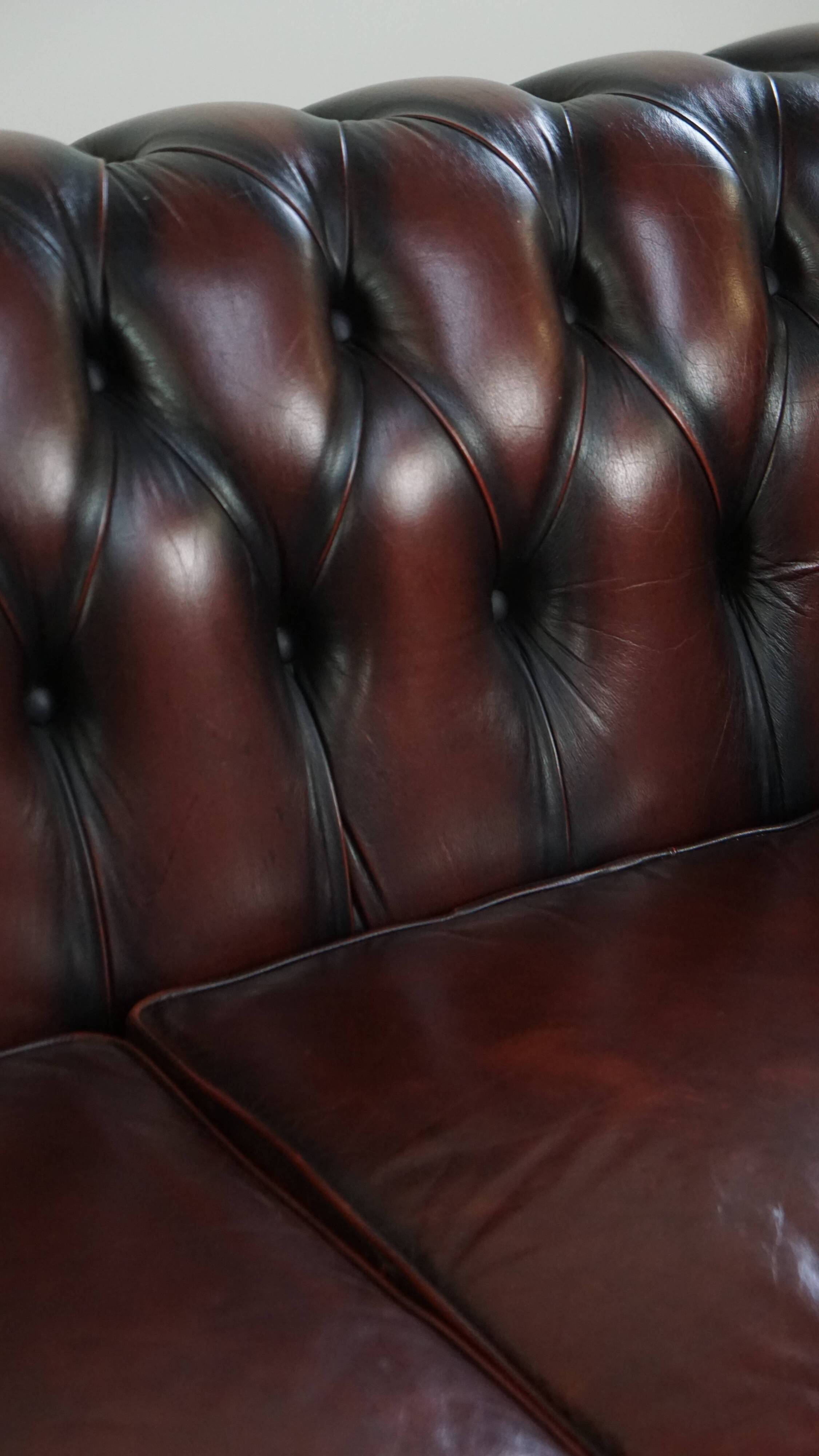 Chesterfield 2.5 seater sofa in dark red cowhide leather