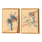 Pair of gold frames with bird design