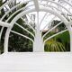 White rattan shelf