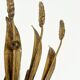 Pair of "Wheat Sheaf" Wall Lights