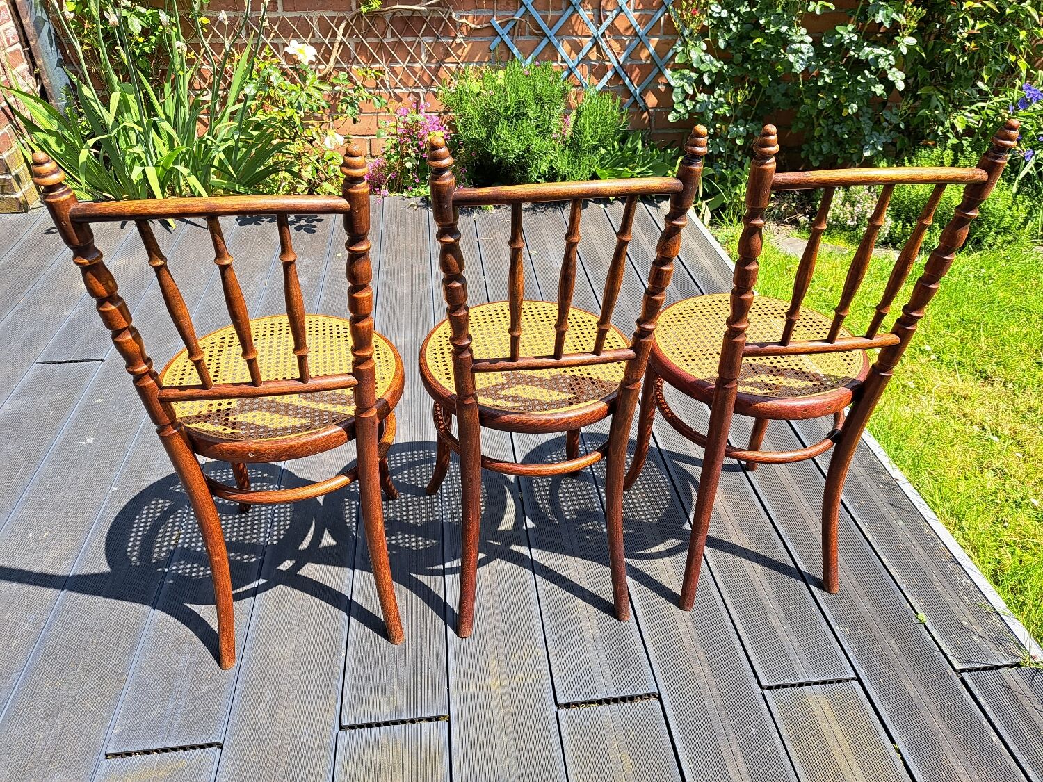 Set of 6 Fischel chairs in cane wood