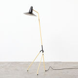 Rare Dutch Floor Lamp 1950s