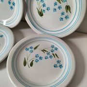 6 vintage Italian Quadrifoglio dessert plates with forget-me-not decoration.