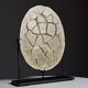 Septarian nodule on stand