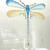 Cadre libellule bleue